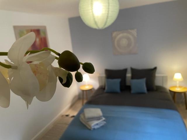 Appartement Cosy Hyper Centre Châteauroux Kültér fotó